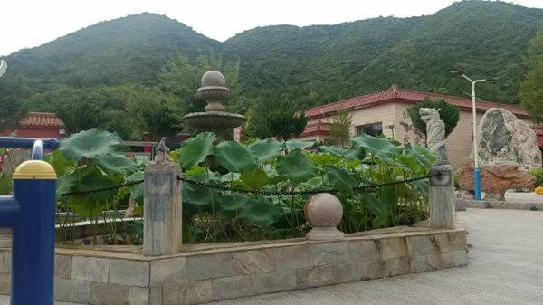 名单｜望京街道寸草春晖养老照料中心｜社交活动丰富收费透明PG电子麻将胡了试玩2026最新｜透析护理高口碑养老院(图36)