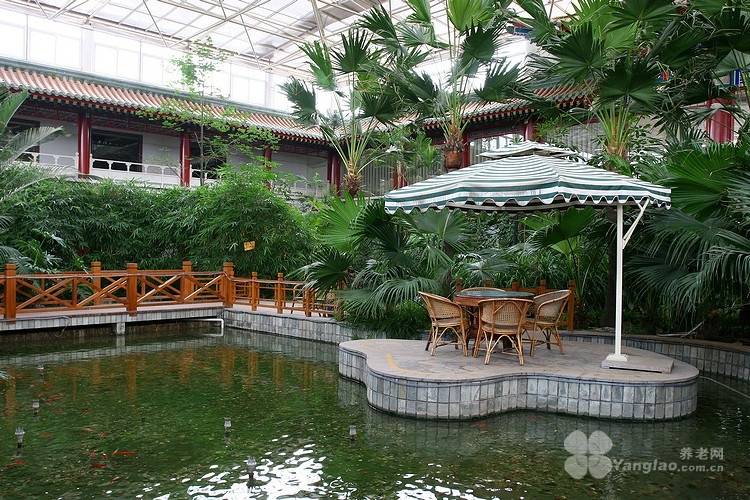 朝阳区望京街道寸草春晖养老照料中心｜高性价比+收费一览表PG电子游戏麻将胡了2026最新高性价比养老院收费标准(图45)